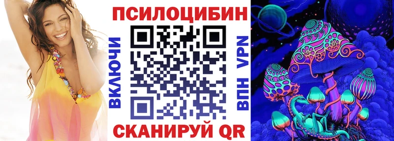 купить наркотики цена Новопавловск блэк спрут вход Псилоцибиновые грибы Cubensis